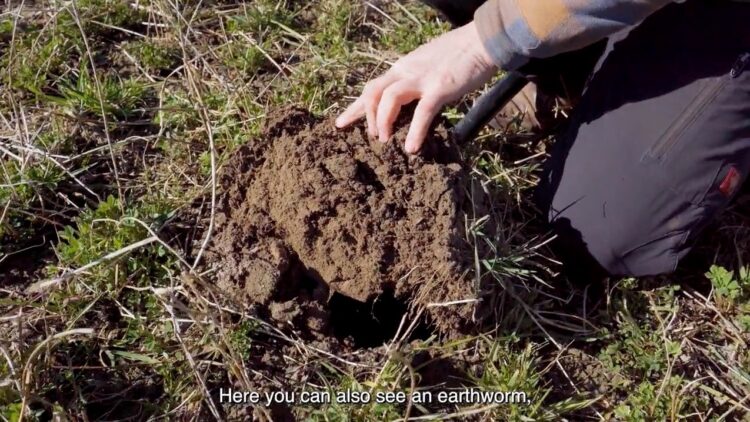 Auf dem Filmstill gräbt ein Mensch Erde um und sagt: Hier kannst Du auch einen Erdwurm sehen.